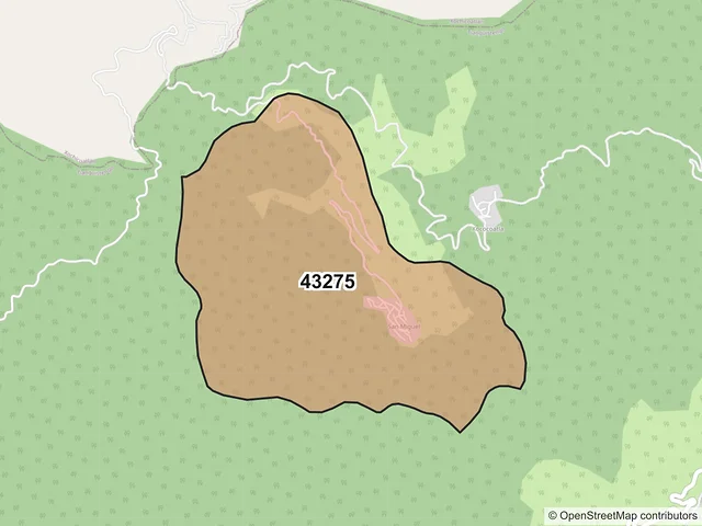 Mapa del código postal 43275, Tianguistengo, Hidalgo