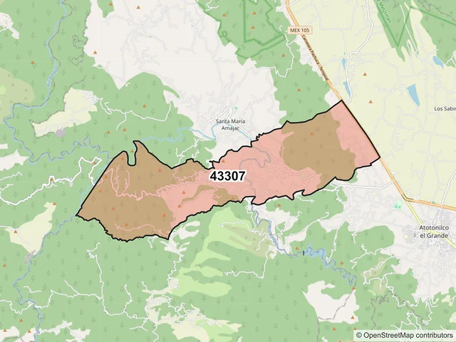 Mapa del código postal 43307, Atotonilco el Grande, Hidalgo