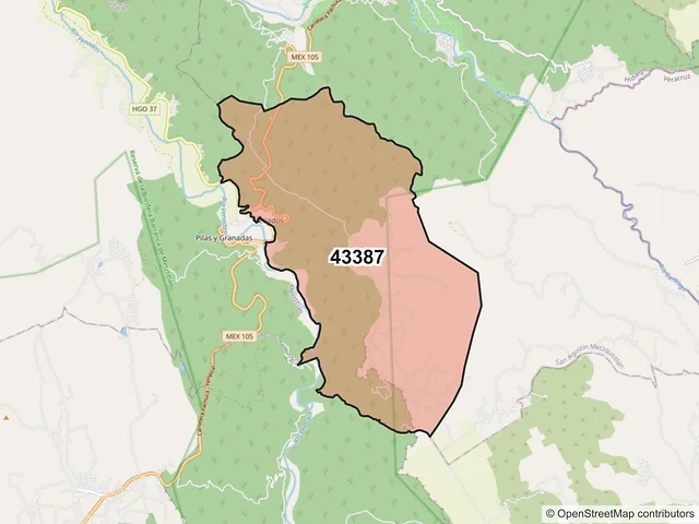 Mapa del código postal 43387, San Agustín Metzquititlán, Hidalgo