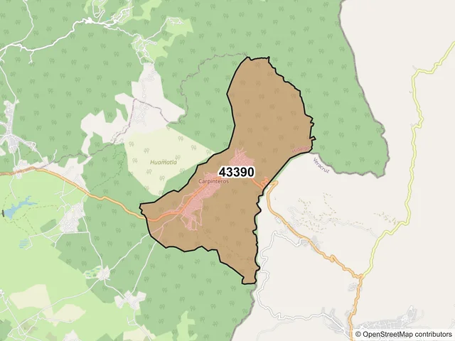Mapa del código postal 43390, San Agustín Metzquititlán, Hidalgo