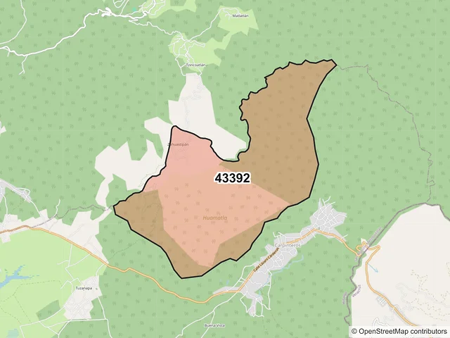 Mapa del código postal 43392, San Agustín Metzquititlán, Hidalgo