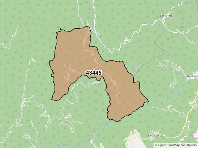 Mapa del código postal 43445, San Bartolo Tutotepec, Hidalgo