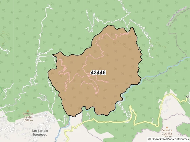 Mapa del código postal 43446, San Bartolo Tutotepec, Hidalgo