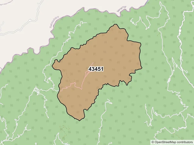 Mapa del código postal 43451, San Bartolo Tutotepec, Hidalgo