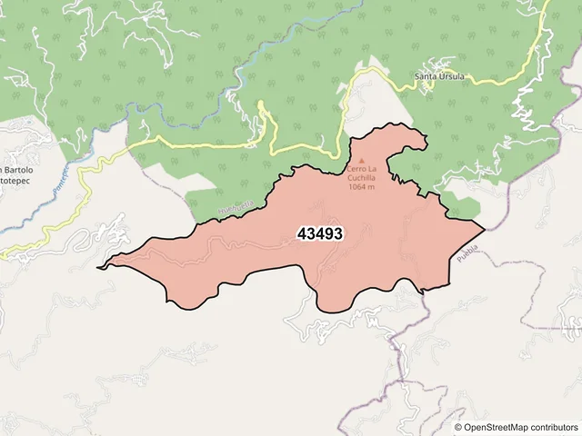 Mapa del código postal 43493, Tenango de Doria, Hidalgo