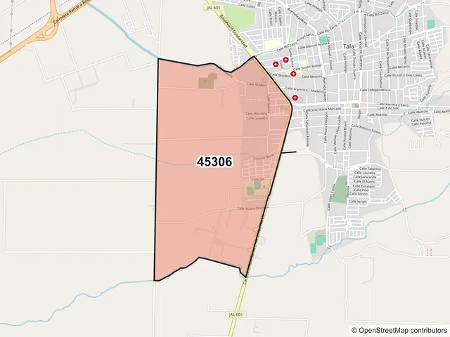 Mapa del código postal 45306, Tala, Jalisco