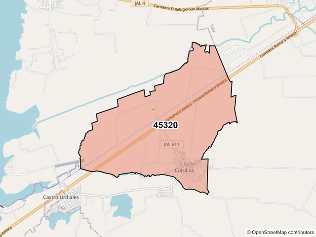 Mapa del código postal 45320, Tala, Jalisco