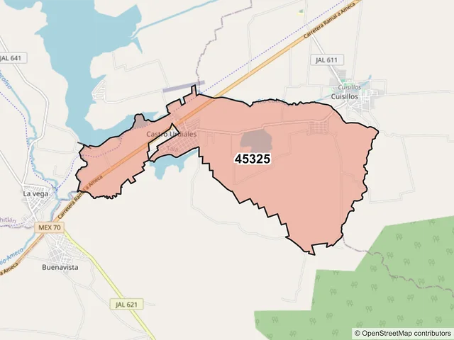 Mapa del código postal 45325, Tala, Jalisco