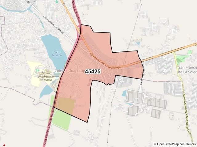 Mapa del código postal 45425, Tonalá, Jalisco