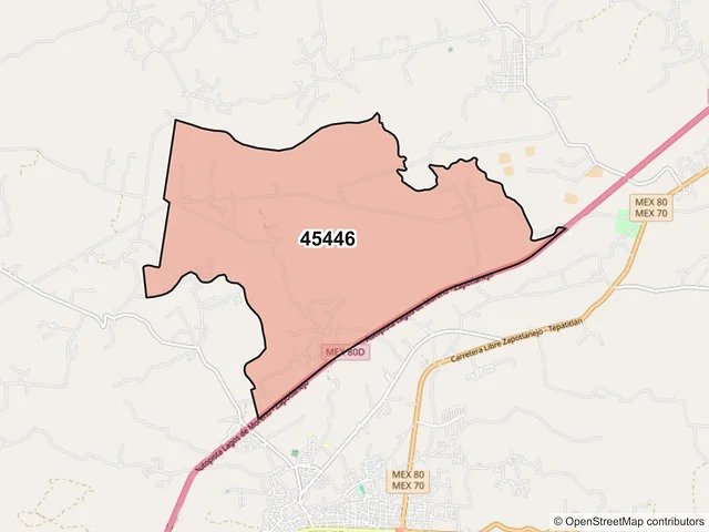 Mapa del código postal 45446, Zapotlanejo, Jalisco
