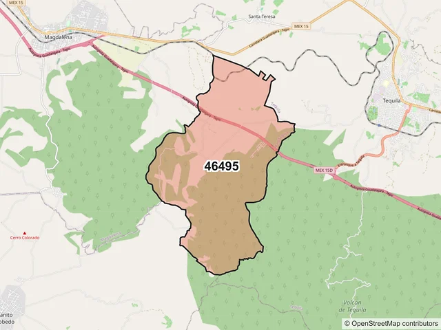 Mapa del código postal 46495, Magdalena, Jalisco