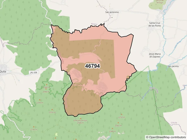 Mapa del código postal 46794, San Martín Hidalgo, Jalisco