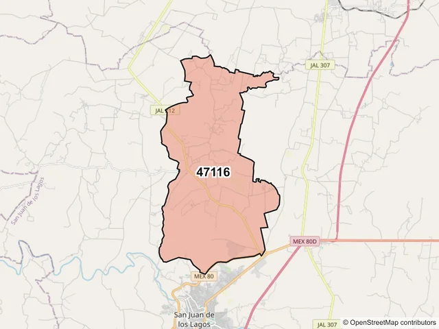 Mapa del código postal 47116, San Juan de los Lagos, Jalisco
