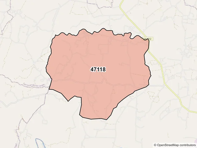 Mapa del código postal 47118, San Juan de los Lagos, Jalisco