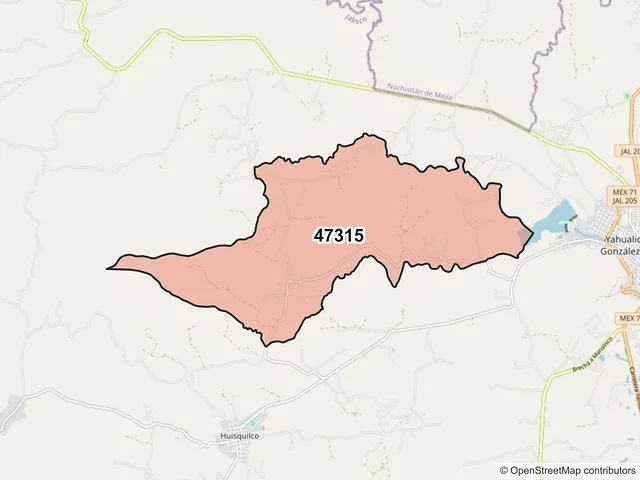 Mapa del código postal 47315, Yahualica de González Gallo, Jalisco