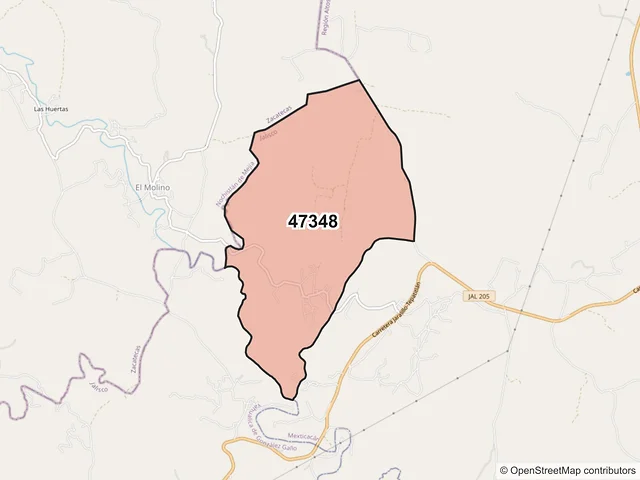 Mapa del código postal 47348, Mexticacán, Jalisco