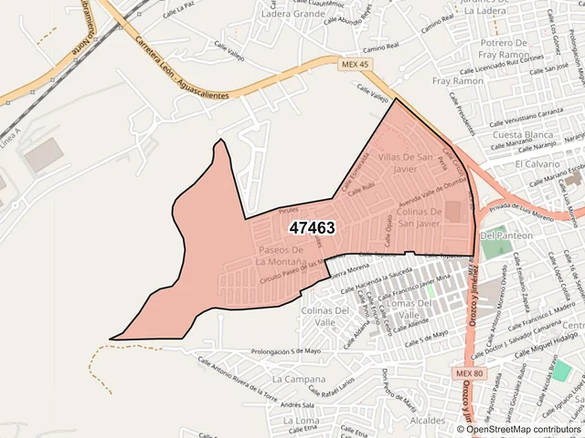 Mapa del código postal 47463, Lagos de Moreno, Jalisco