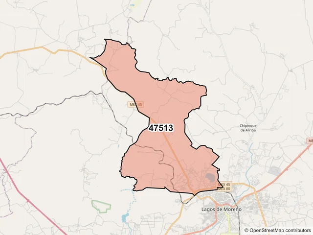 Mapa del código postal 47513, Lagos de Moreno, Jalisco
