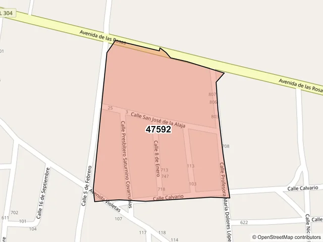 Mapa del código postal 47592, San Diego de Alejandría, Jalisco