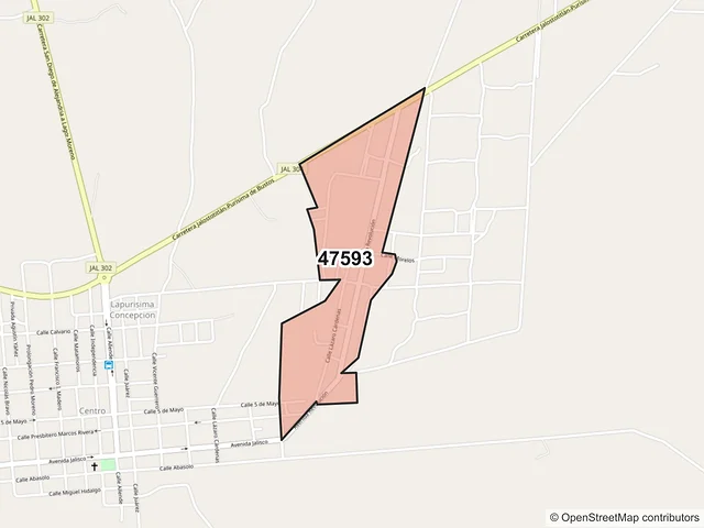 Mapa del código postal 47593, San Diego de Alejandría, Jalisco