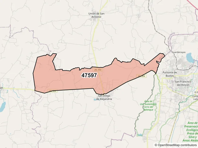 Mapa del código postal 47597, San Diego de Alejandría, Jalisco