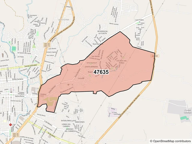 Mapa del código postal 47635, Tepatitlán de Morelos, Jalisco