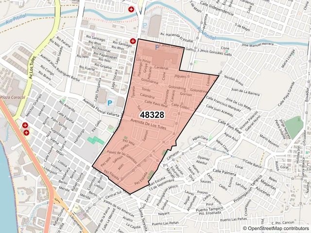 Mapa del código postal 48328, Puerto Vallarta, Jalisco