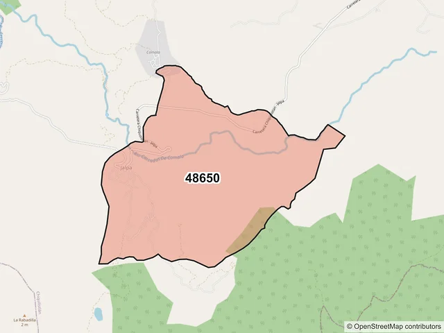 Mapa del código postal 48650, Chiquilistlán, Jalisco