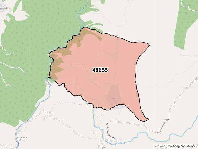 Mapa del código postal 48655, Chiquilistlán, Jalisco