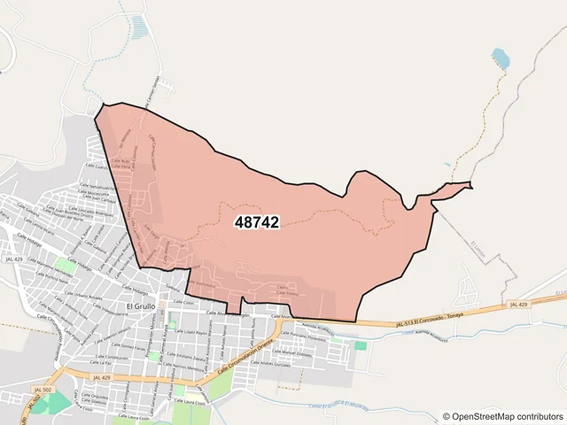 Mapa del código postal 48742, El Grullo, Jalisco