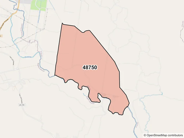 Mapa del código postal 48750, El Grullo, Jalisco
