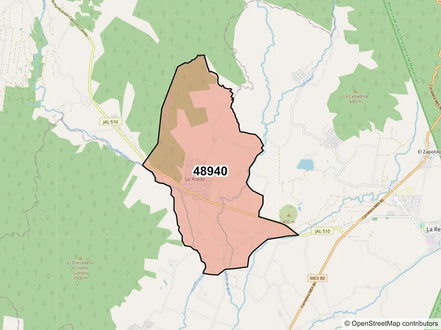 Mapa del código postal 48940, Casimiro Castillo, Jalisco