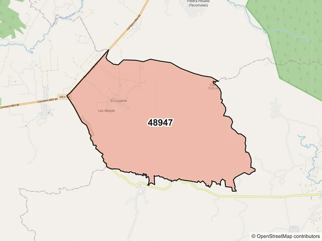 Mapa del código postal 48947, Casimiro Castillo, Jalisco