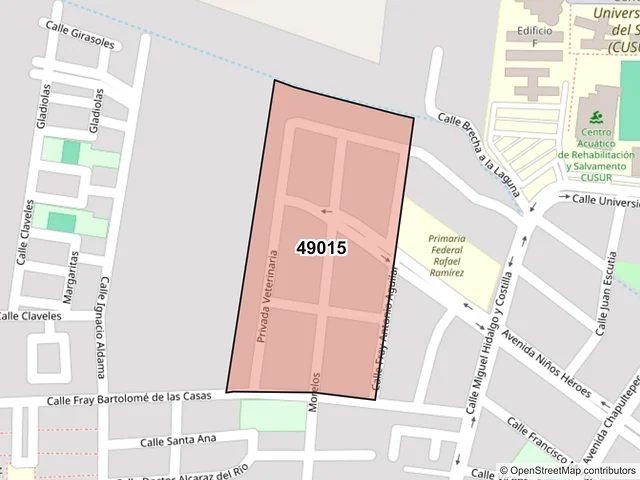 Mapa del código postal 49015, Zapotlán el Grande, Jalisco