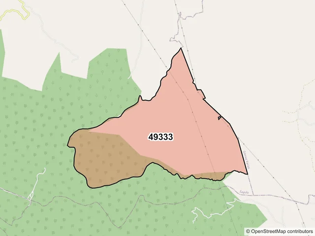 Mapa del código postal 49333, Sayula, Jalisco