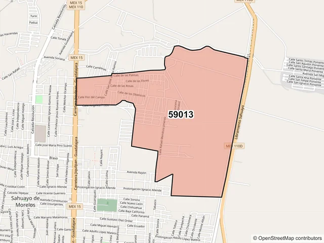 Mapa del código postal 59013, Sahuayo, Michoacán de Ocampo