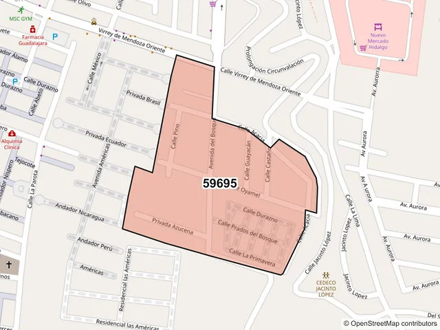 Mapa del código postal 59695, Zamora, Michoacán de Ocampo