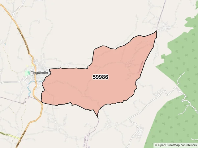 Mapa del código postal 59986, Tingüindín, Michoacán de Ocampo