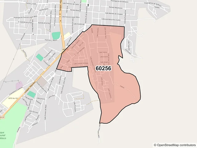 Mapa del código postal 60256, Paracho, Michoacán de Ocampo