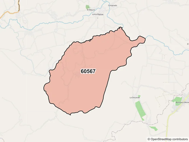 Mapa del código postal 60567, Tepalcatepec, Michoacán de Ocampo