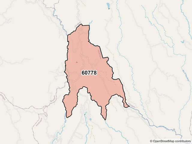 Mapa del código postal 60778, Parácuaro, Michoacán de Ocampo