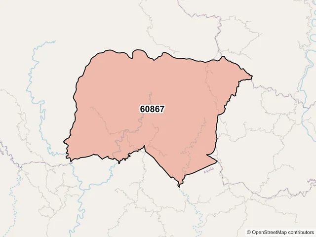 Mapa del código postal 60867, Coalcomán de Vázquez Pallares, Michoacán de Ocampo