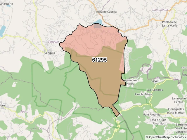 Mapa del código postal 61295, Senguio, Michoacán de Ocampo