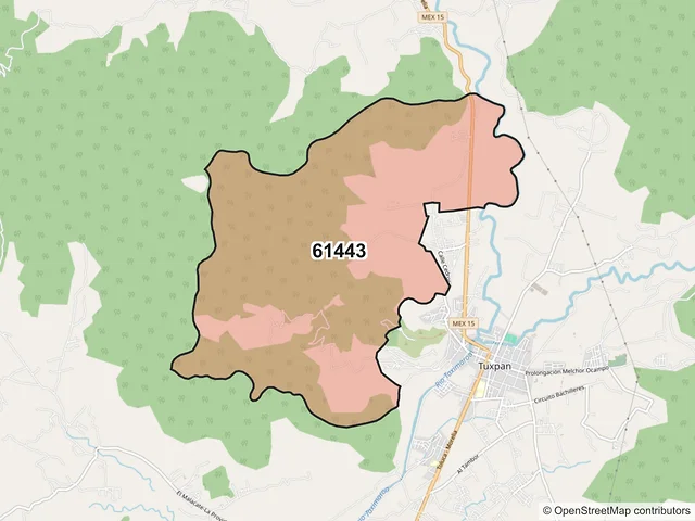 Mapa del código postal 61443, Tuxpan, Michoacán de Ocampo