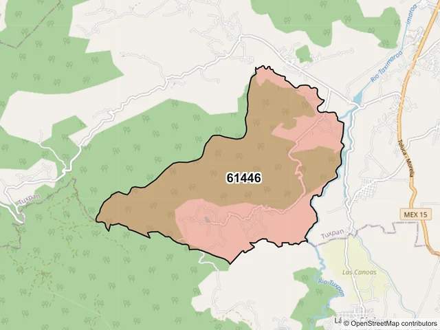 Mapa del código postal 61446, Tuxpan, Michoacán de Ocampo