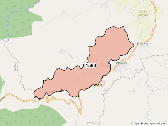 Mapa del código postal 61583, Juárez, Michoacán de Ocampo