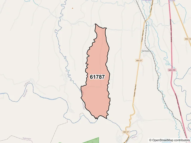 Mapa del código postal 61787, Múgica, Michoacán de Ocampo