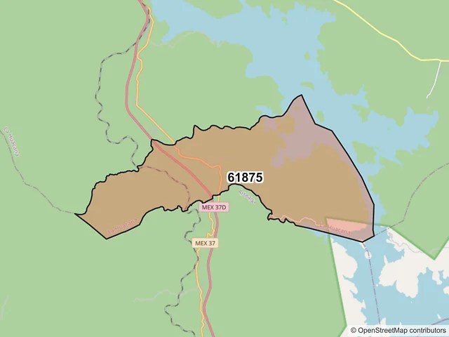 Mapa del código postal 61875, La Huacana, Michoacán de Ocampo