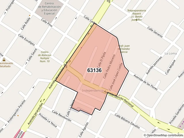 Mapa del código postal 63136, Tepic, Nayarit