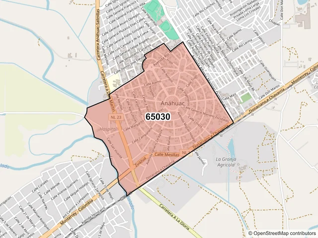 Mapa del código postal 65030, Anáhuac, Nuevo León